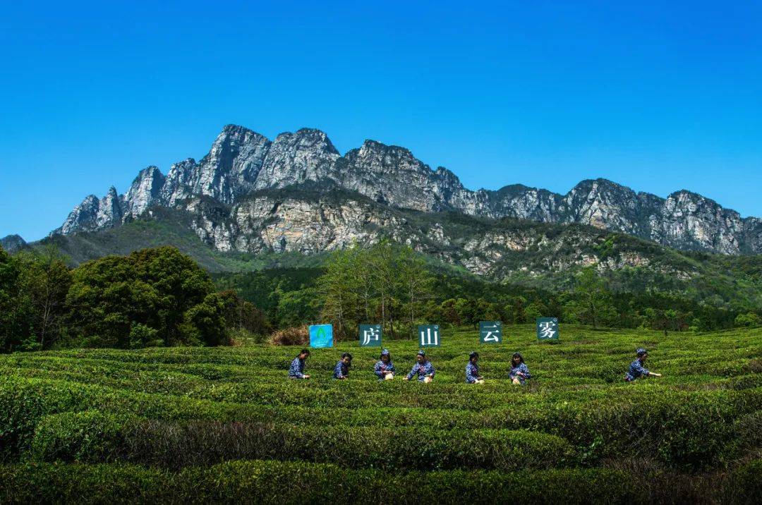 夏季旅行清单来咯,11条休闲农业与乡村旅游精品路线推介_景区_靖安县