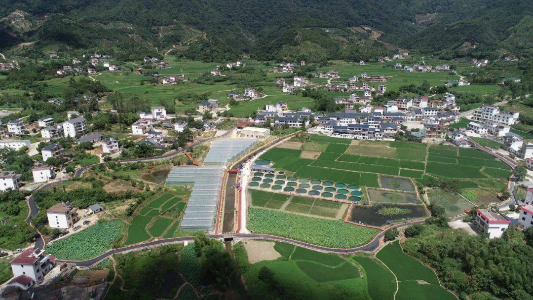 【"四融一共"·和美乡村】崇义县铅厂镇:学习运用"千万工程"经验 促进