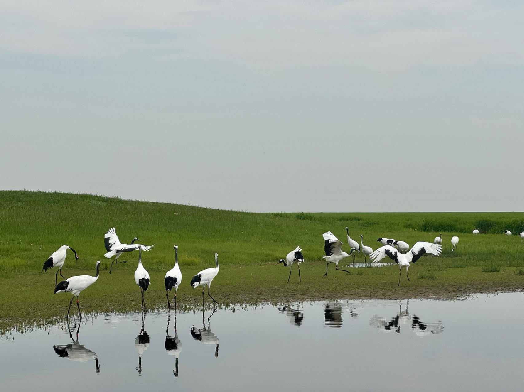 齐齐哈尔:"四个提升"高质量承办好旅发大会_旅游_景区_城市