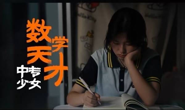 数学天才竟是中专生大结局