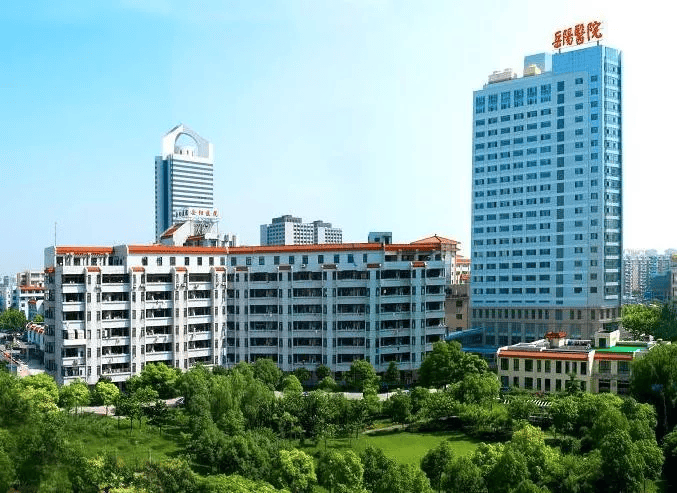 包含上海中医药大学附属岳阳中西医结合医院黄牛陪诊挂号的词条