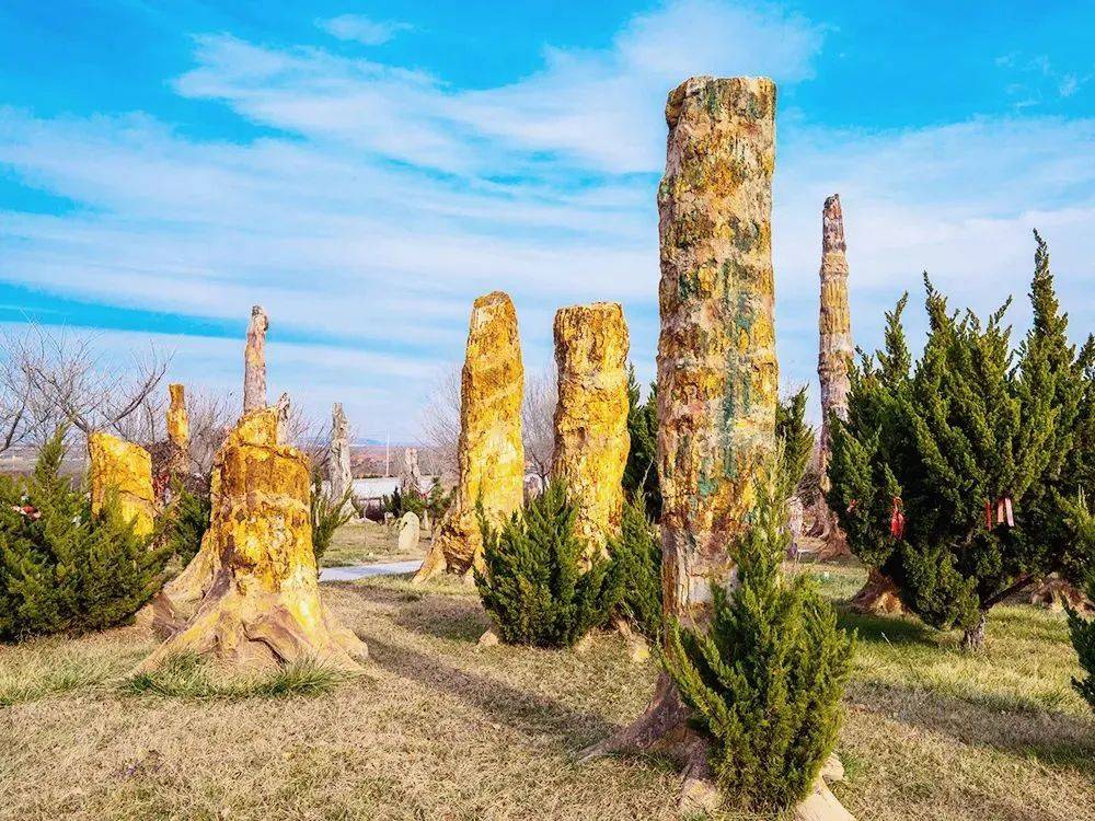 不一样的烟台|探秘"恐龙之乡",踏上寻龙之旅