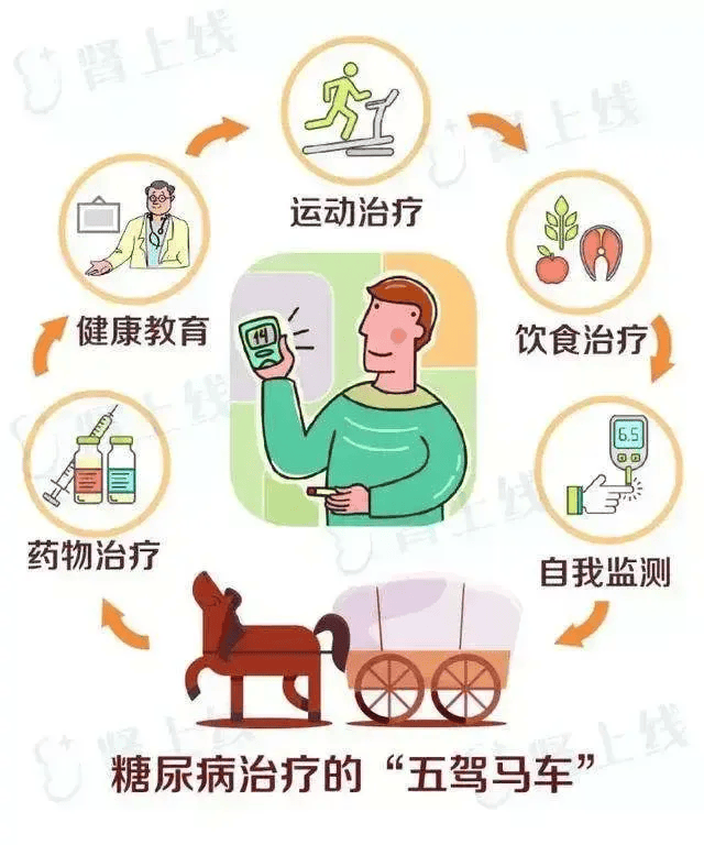 【健康知识普及行动】认识糖尿病,不做小糖人