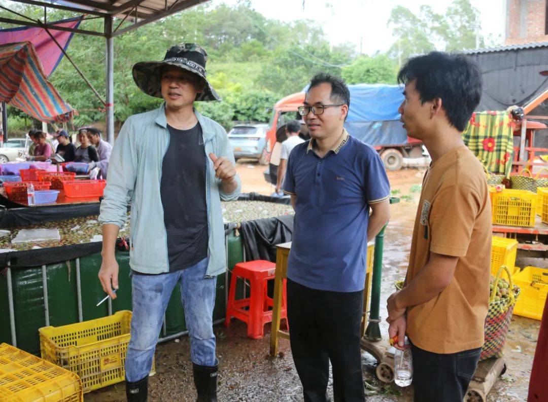 "妃子笑",笑盈盈!