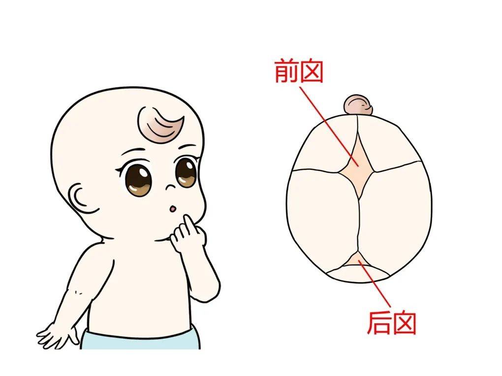 【健康公开课】宝宝1岁半前囟门还没闭合怎么办?