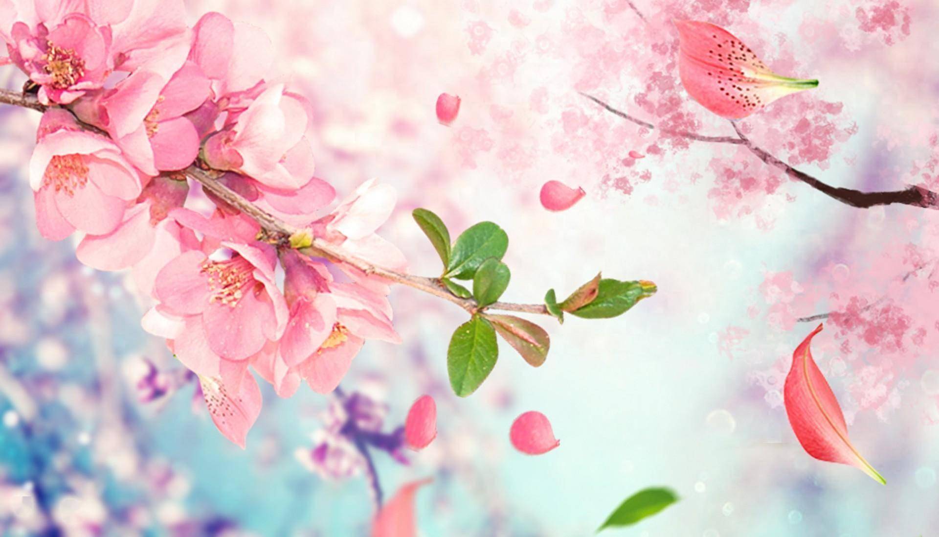 背景 壁纸 1920_1097