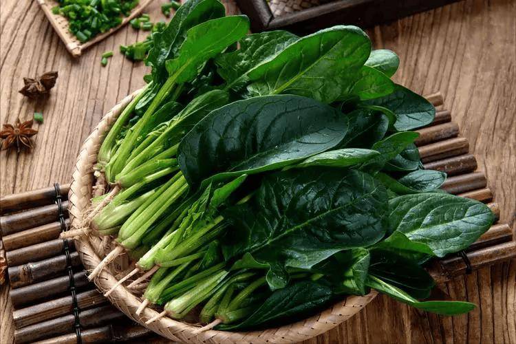 韭菜是血栓"催化剂"?医生忠告:尤其是老人,3种蔬菜少吃为妙