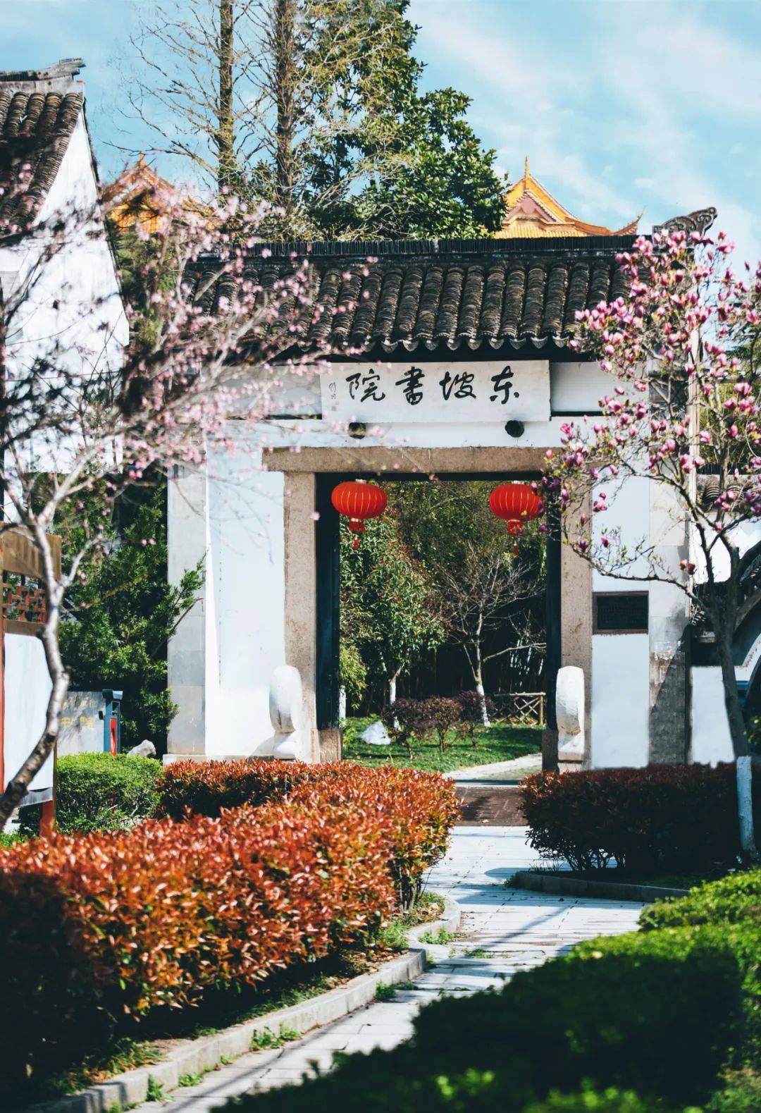 于墨迹书香中寻觅东坡足迹_宜兴_眷恋_先生