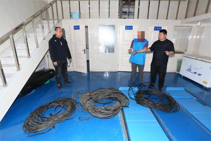 大庆两男子"组团"盗窃电缆被警方"团灭"