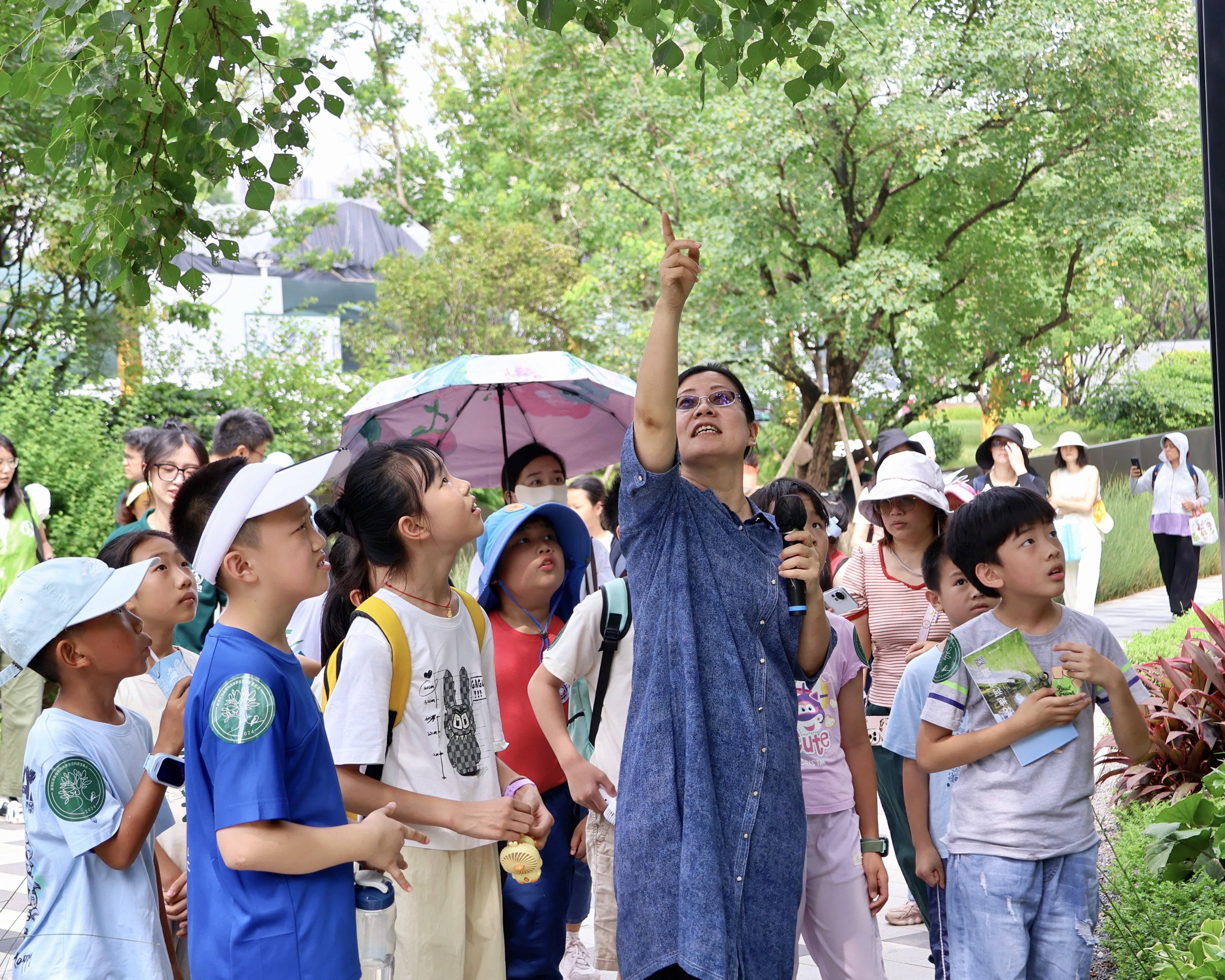 🌸【管家婆一肖一码必中一肖】🌸_用童声讲述城市记忆，“小小讲解员”引领新风尚