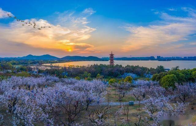 安阳到徐州旅游（安阳到徐州的火车票查询） 安阳到徐州旅游（安阳到徐州的火车票查询）《安阳到徐州火车时刻表查询》 旅游攻略