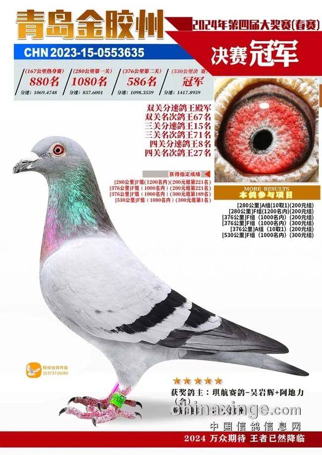 二关418名,四关179名,四关4名,包揽双关,三关,四关分速鸽王三项总冠军