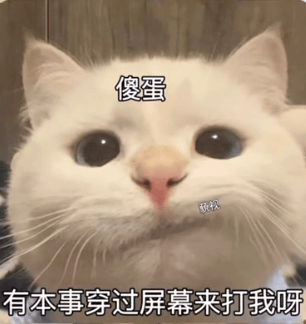 污污涩涩表情包:那我们偷情?