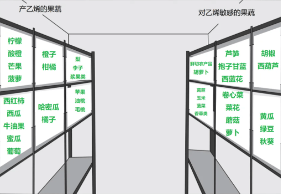 极目新闻🌸2024澳门天天开好彩资料🌸|聚焦杜仲抗衰老与健康中国建设，第五届杜仲大会在京召开