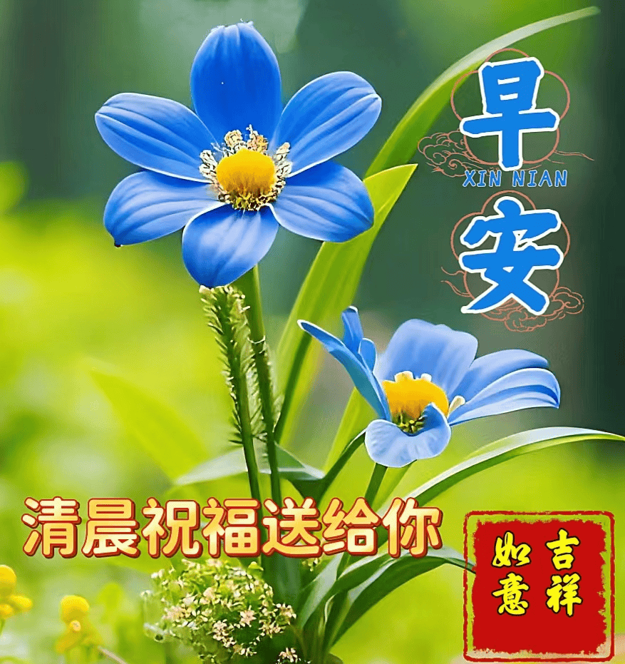 今日最新版早上好表情图片大全,牵手人生路,健康常相伴!