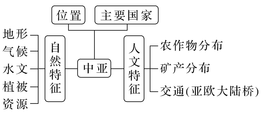 中亚知识点思维导图图片