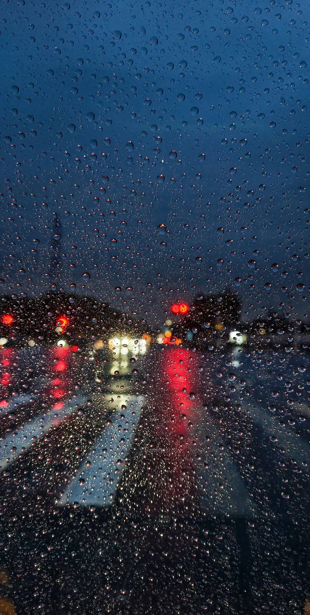 最美下雨天图片