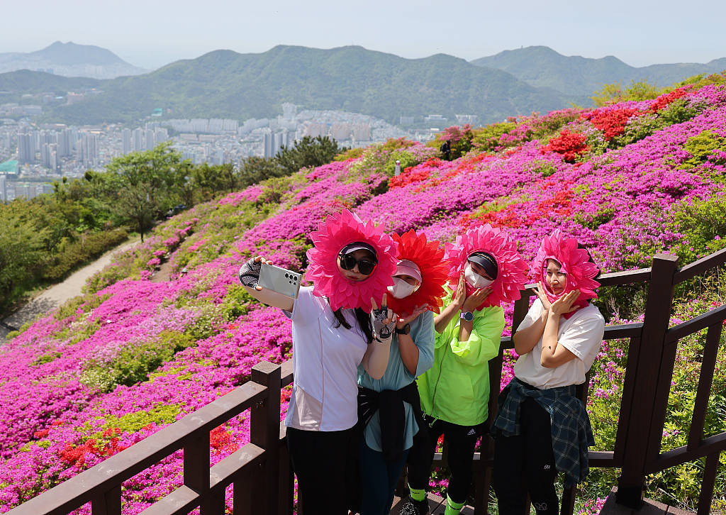 🌸海外网 【澳门一码一肖一特一中2024】_宁夏银川：倡导文明出行 打造城市文明“流动风景线”