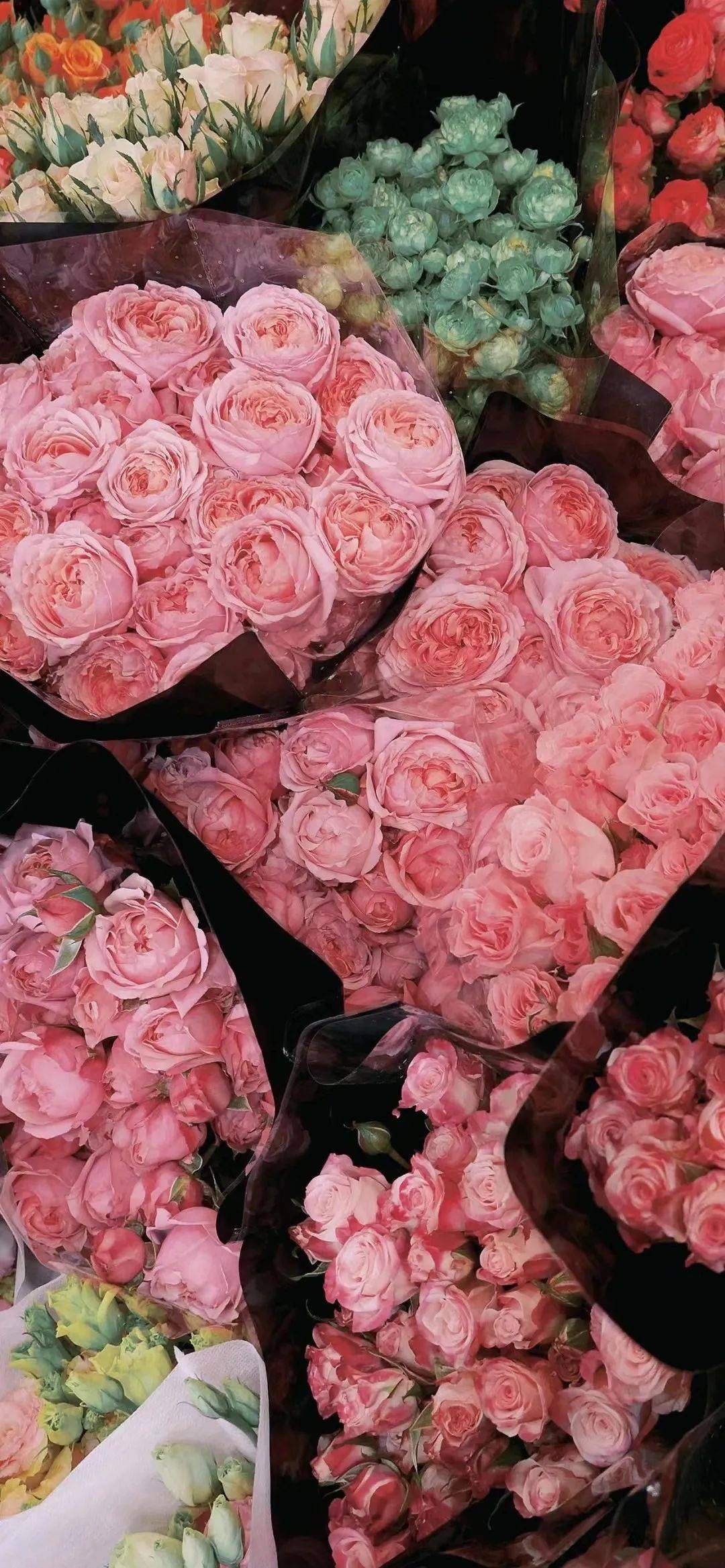 点下"在看"就可以了~>>1080_2337竖版 竖屏