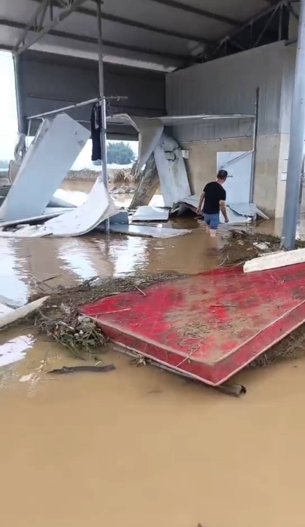 地平线 洪水滔天图片