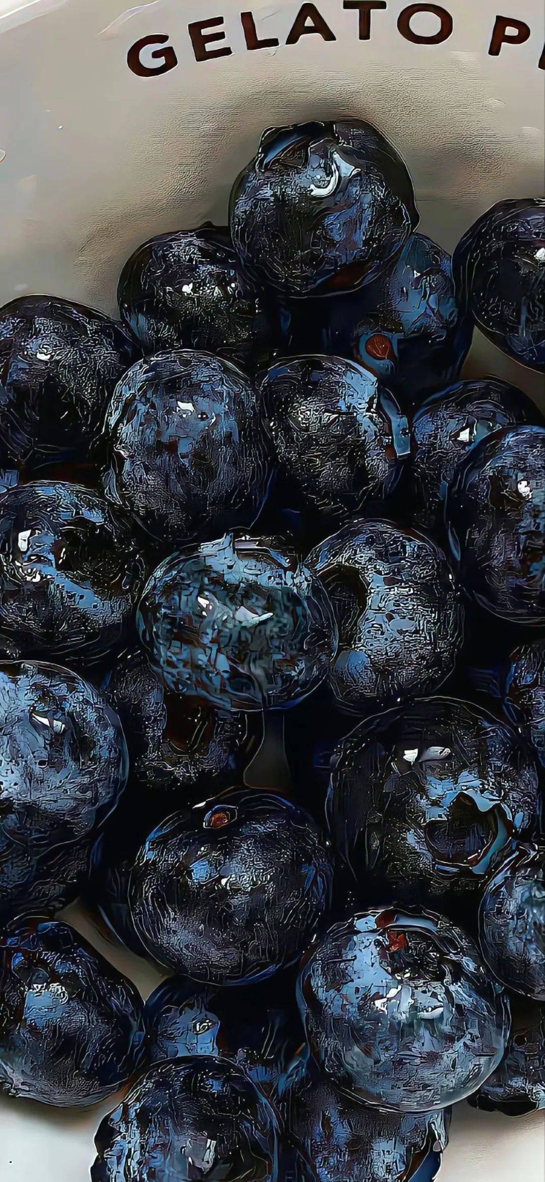 壁纸|全屏手机壁纸