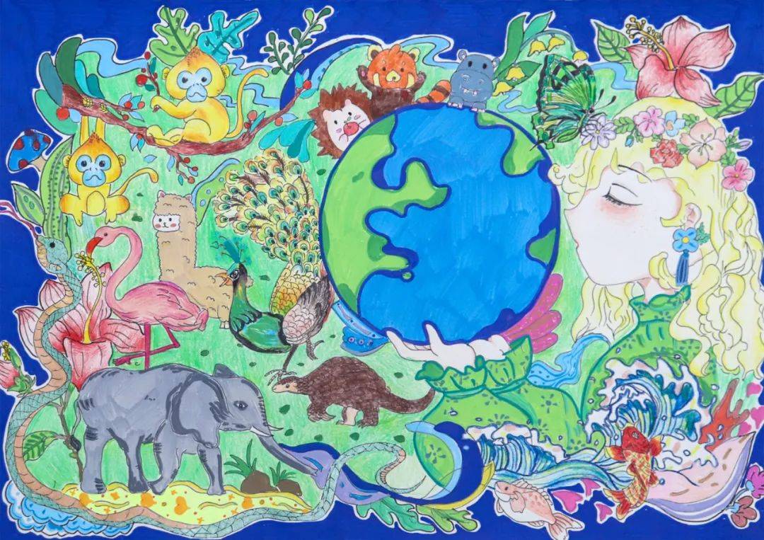 第八届云南省小学生野生动物绘画大赛获奖作品展示