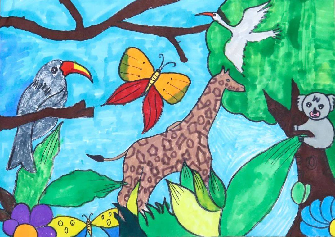第八届云南省小学生野生动物绘画大赛获奖作品展示