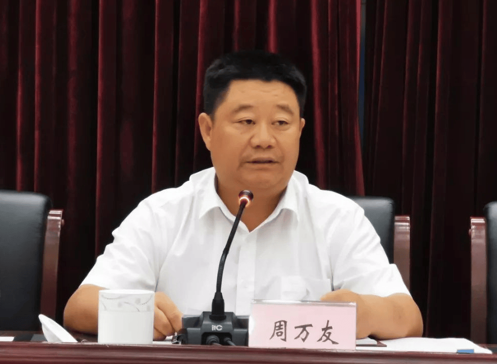 副区长主动投案后,免职不到1个月的区长被查_名山_雅安市_周万友