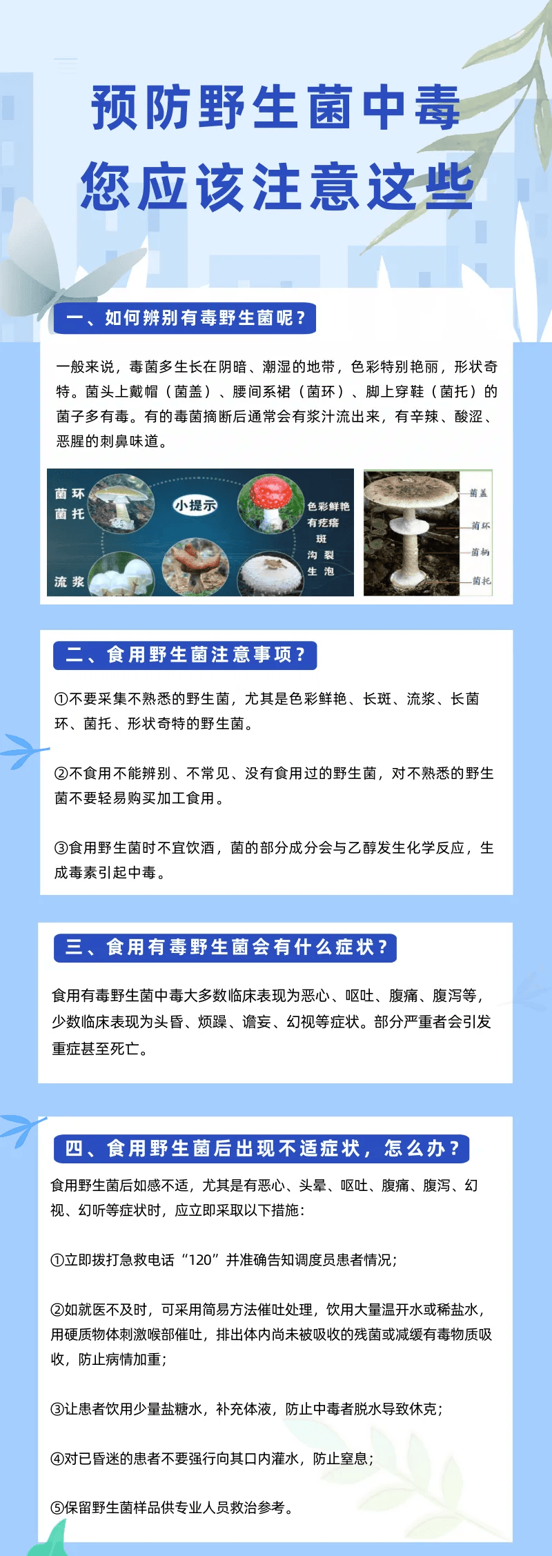 禁食野生蘑菇宣传图片图片