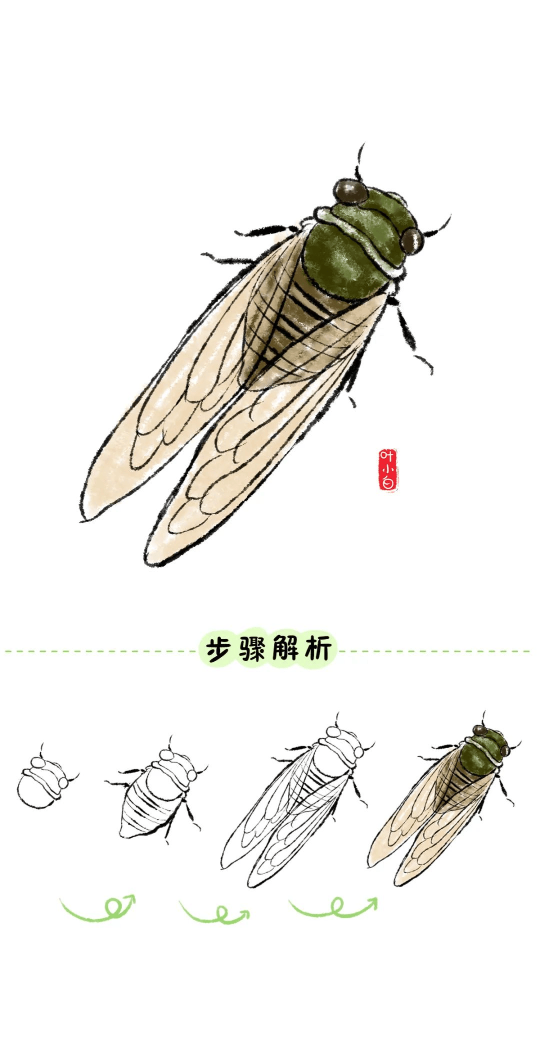 蝉的画法步骤 简笔画图片