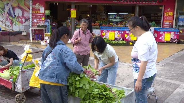 中国妇女报:王中王一肖中特4933333-城市：真正的蜗居续集：重塑城市微小生活的诗意与价值