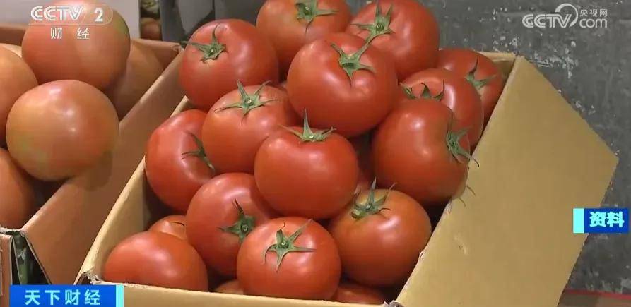 “泡菜检出”！韩国超千名师生疑似食物中毒-韩国泡菜吃多了会上火吗