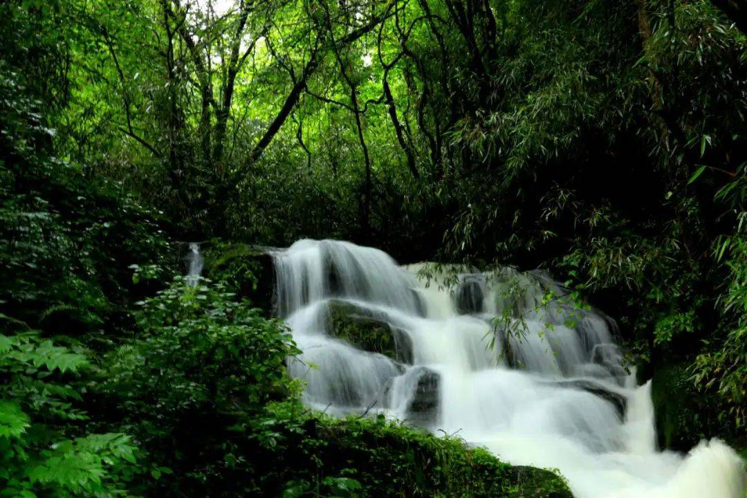 黄柏塬-太洋公路-青峰峡 | 这条天花板级别的避暑路线终于藏不住了!