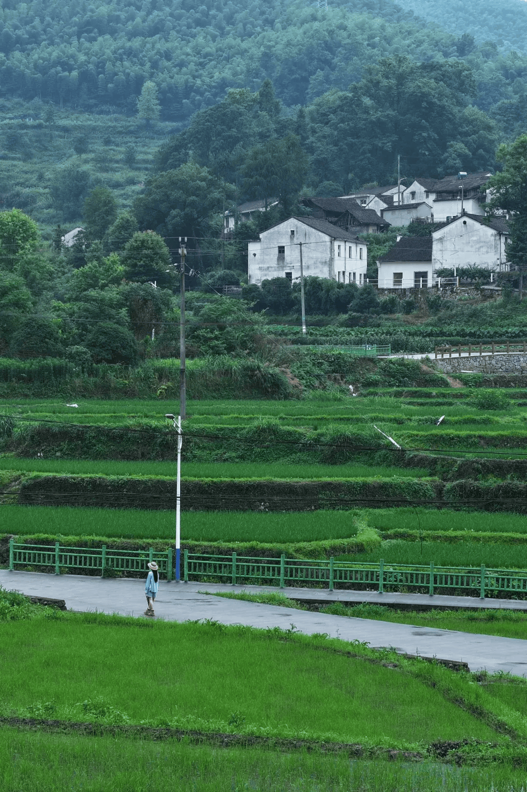 砀山县西南门镇图片