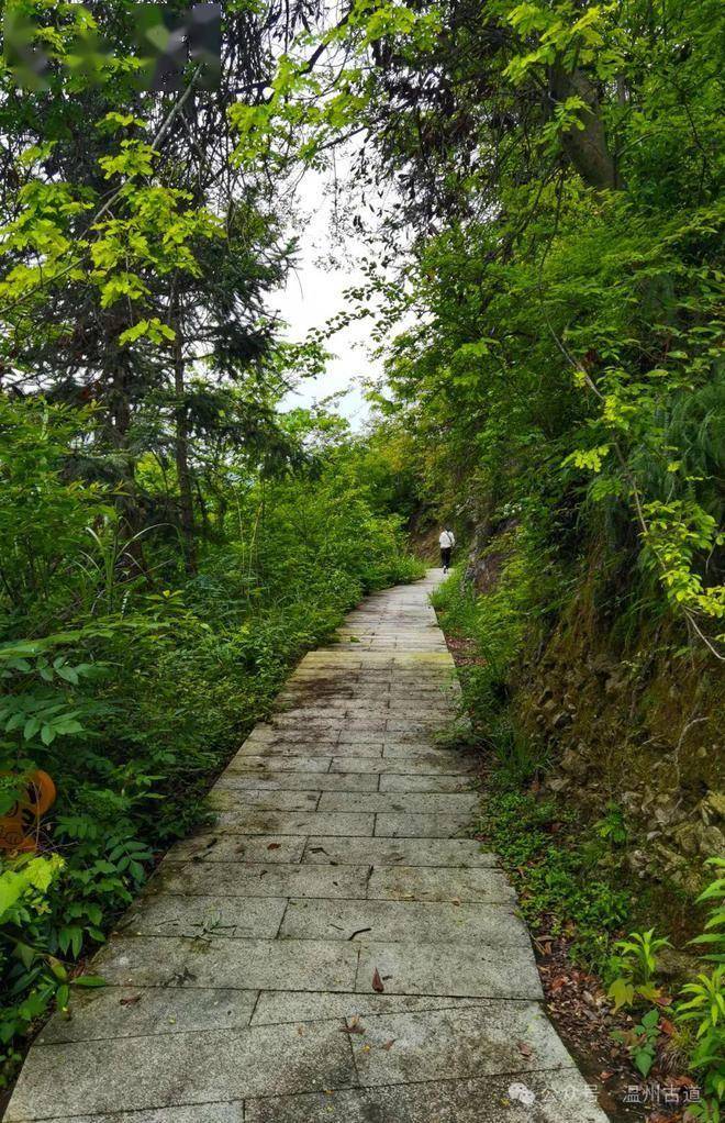 去不了八达岭的万里长城,那就来永嘉中堡的小长城吧,一览楠溪胜景!