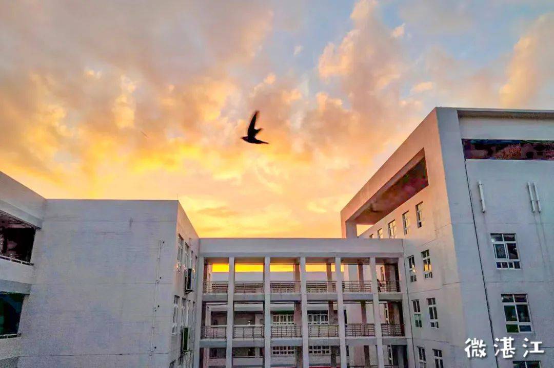 谢谢你,广东海洋大学