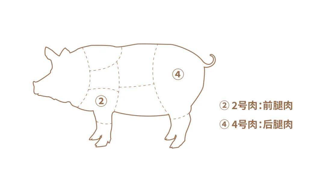 黑猪生长速度慢,肌肉纹理细腻,脂肪分布均匀,而且瘦肉率会比其他猪高