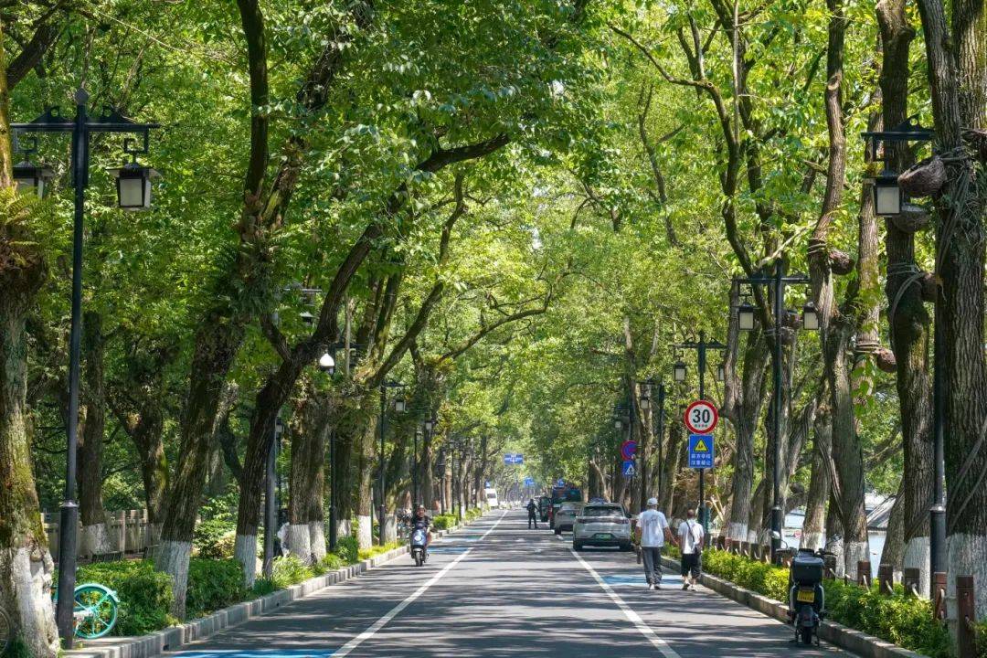 温州雪山路图片