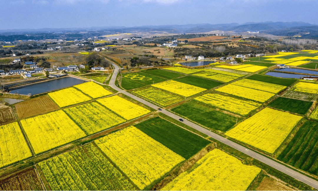 三桥村,柳林村,清溪村,百宝寨村,干河村,焦堤村和金沙村8个行政村,总