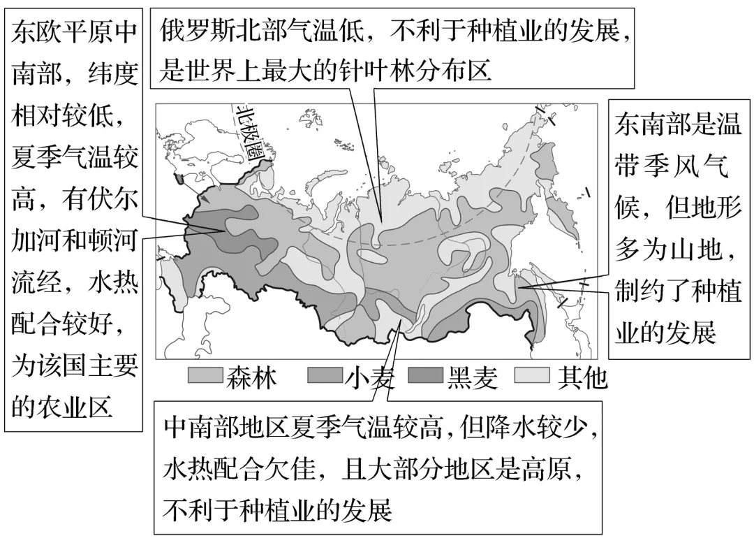 俄罗斯索契气候图片