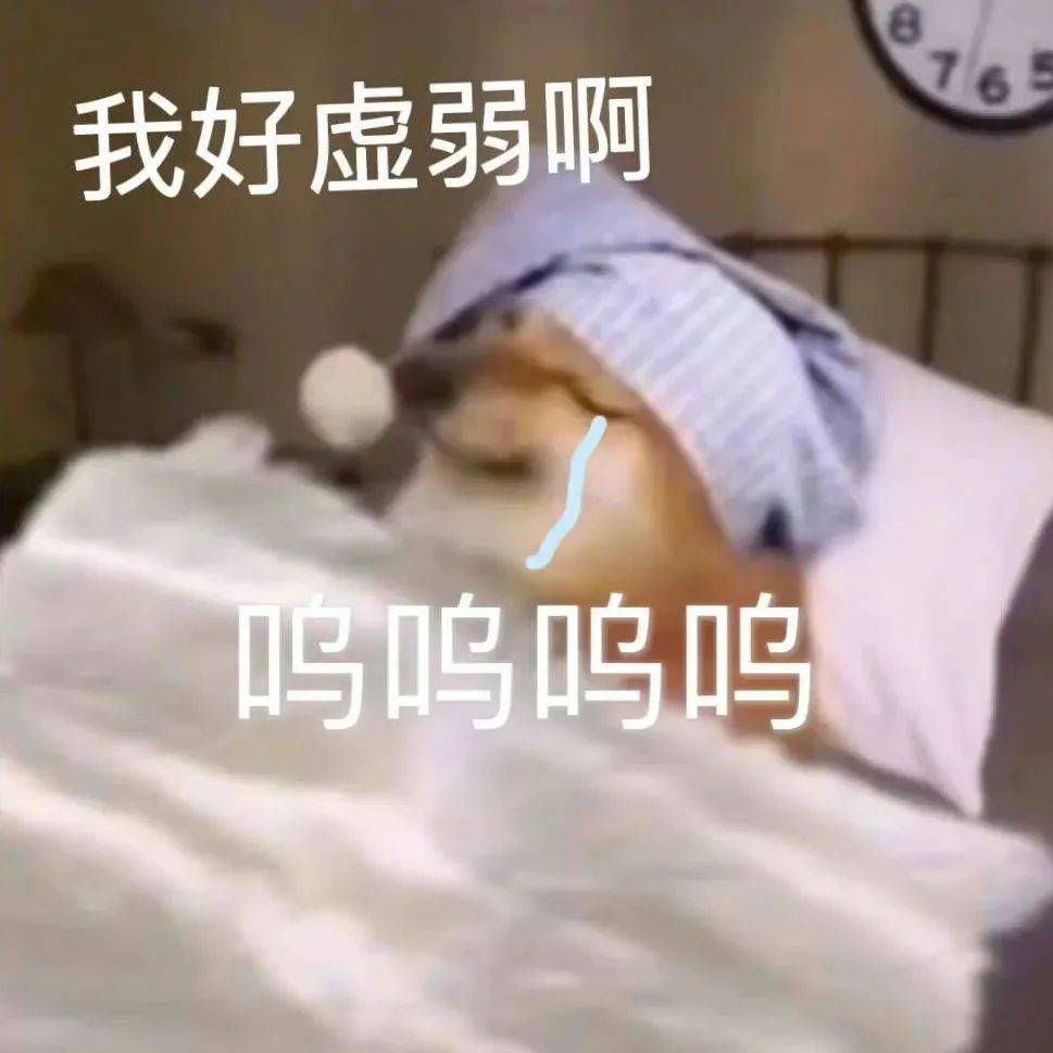 bt污污表情包_公众_文章_熊猫头