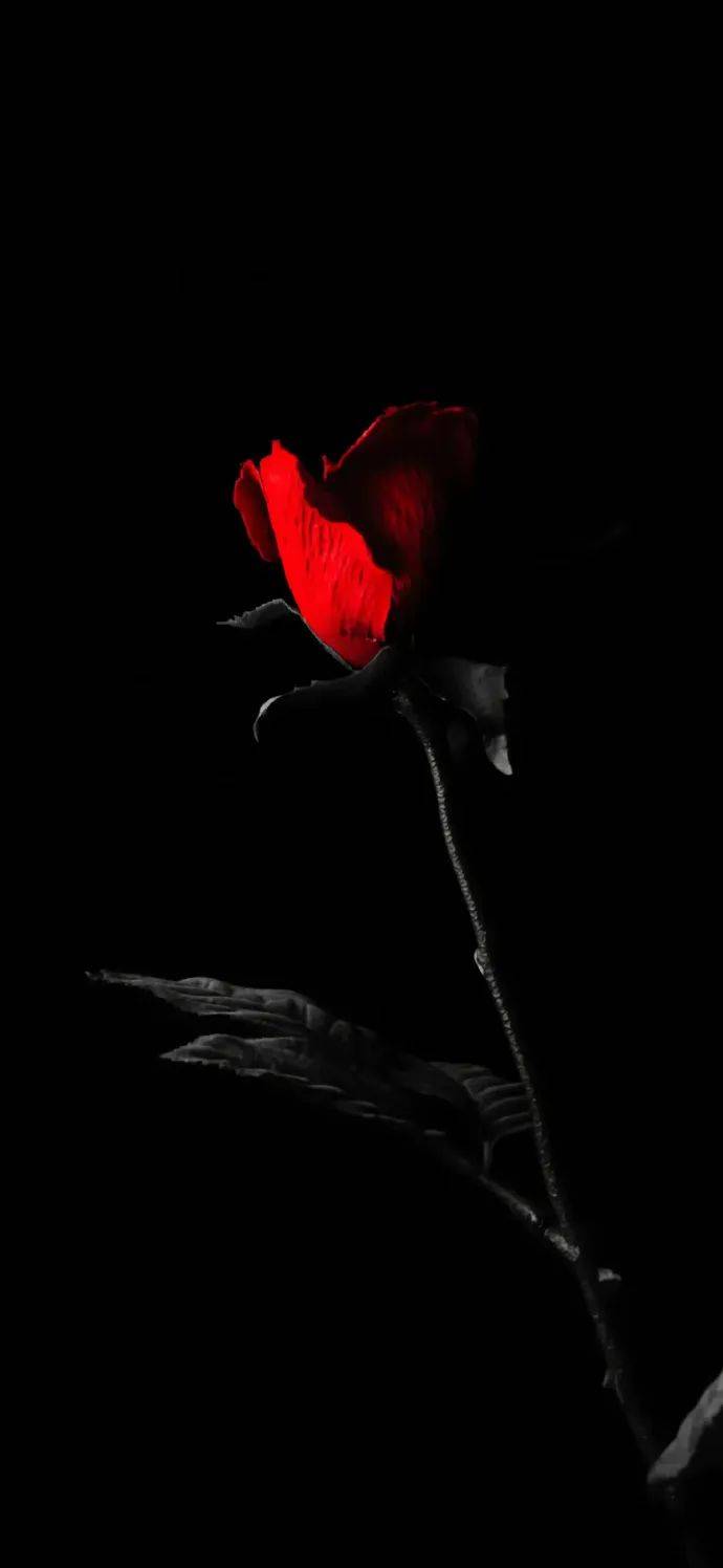 壁纸 | 高级感拉满黑色系壁纸 676767