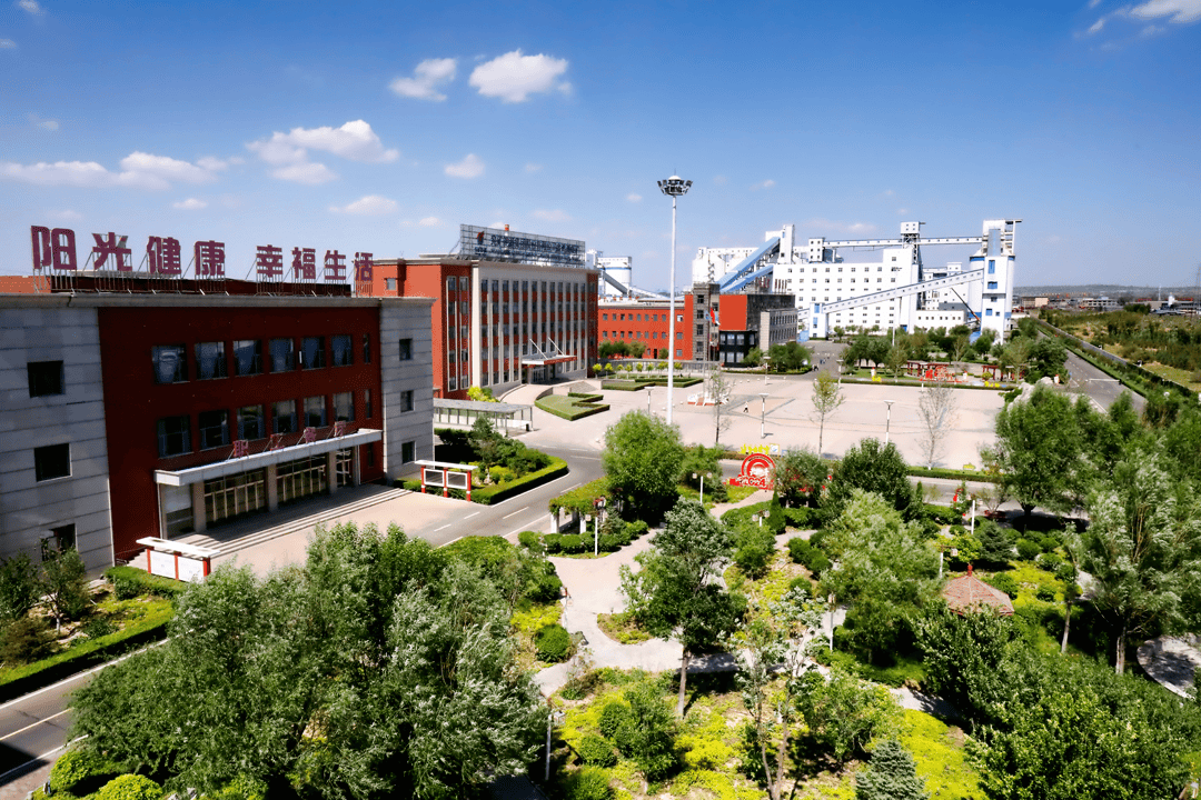 金鸡滩煤矿 | 非凡十年 卓越之路