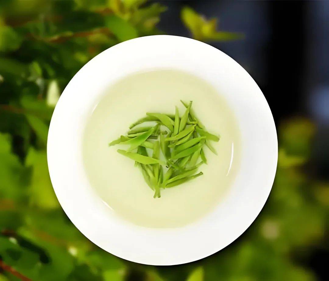 翠雨飘香,茶韵南京_茶叶_花茶_人们