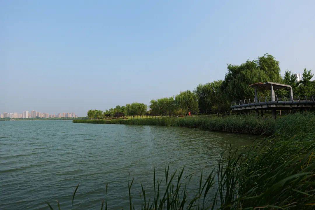 超大湖泊,清爽露营,郑东新区这座公园含夏量100%