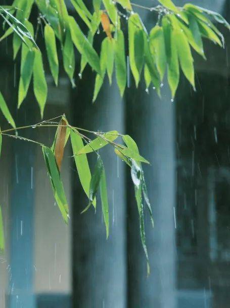 这些不可错过的夏日雨景太绝了