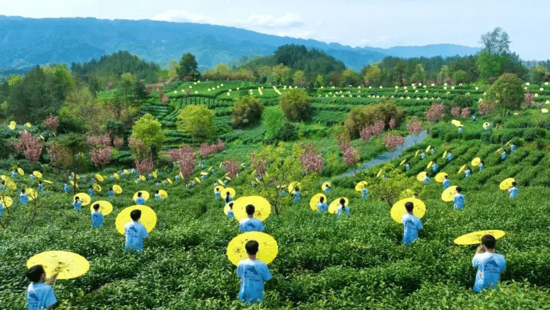 2024"汉风古韵·传奇夜"文旅活动精彩来袭(宁强篇)