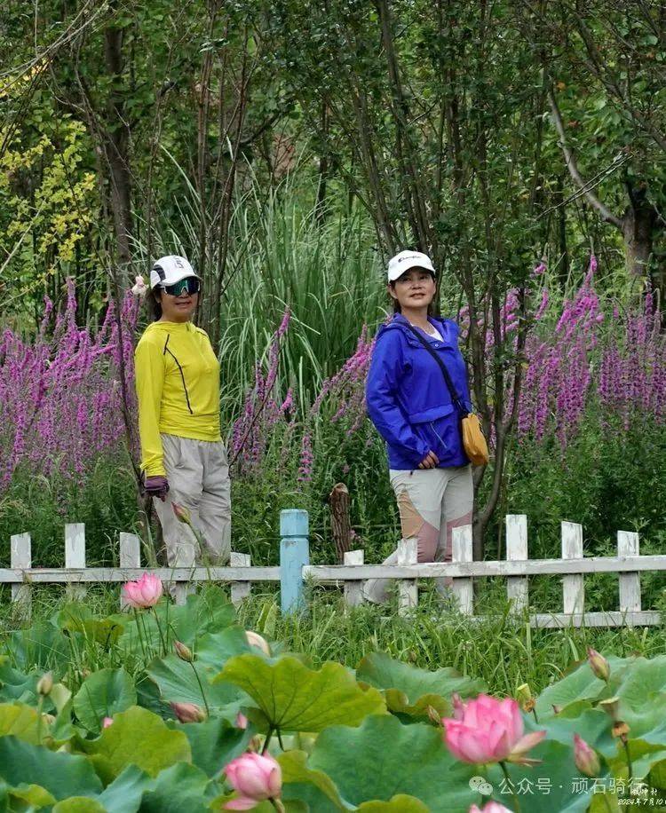 捡菌行动进行时_阿子_崔家_头村