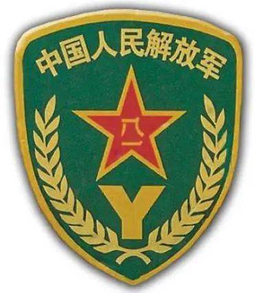 预备役士兵肩章图片图片