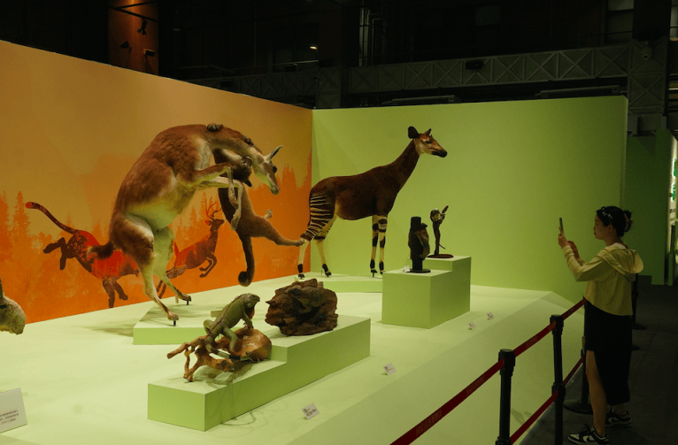 来国家自然博物馆看稀有标本_霍加_展览_张玉光